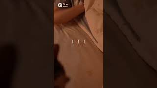 子猫に寝場所を奪われた先住猫が切なすぎる…【猫あるある｜AIアニメ】