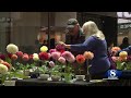 Monterey Bay Dahlia Society hosts annual Dahlia show