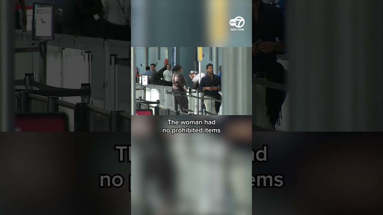 Stowaway bypassed two ID stations at Kennedy Airport