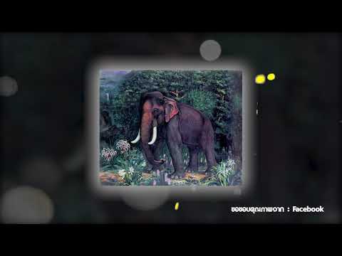 รายการสาระศิลป์ ผู้ช่วยศาสตราจารย์สันต์ สารากรบริรักษ์