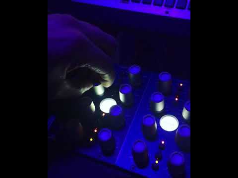 Demo Elysia Karacter 500