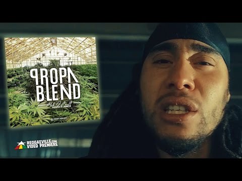 Propa Blend - Stalk A Sensi [Official Video 2017]