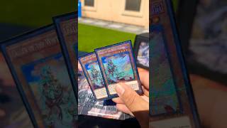 Branded Despia Deck Profile March 2026