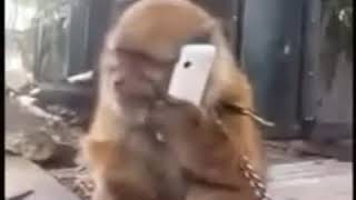 Download lagu Cerita lawak hahaha mp3