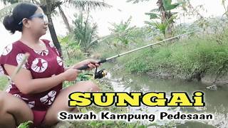 Download lagu Mancing di sungai sawah pedesaan di temani pemandangan indah udara yang sejuk mp3