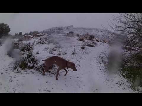 NEVADA EN LA UNION MURCIA 2017