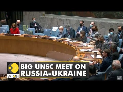 Ukraine's 2 breakaway regions are independent, Russian envoy speaks at the UNSC | World English News