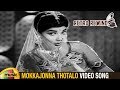Retro Rewind | Mokkajonna Thotalo Video Song | Adrushtavanthalu Telugu Movie | ANR Hits