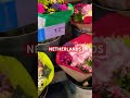 Netherlands Flowers