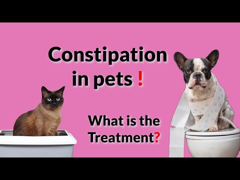 Why Dogs & Cats get CONSTIPATED? What is the TREATMENT?