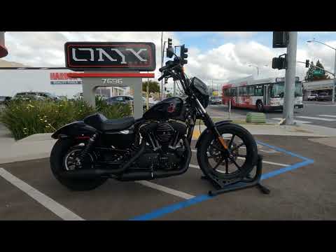 2020 Harley Davidson Iron 1200 / Walk Around / Start Up / Sound Clip