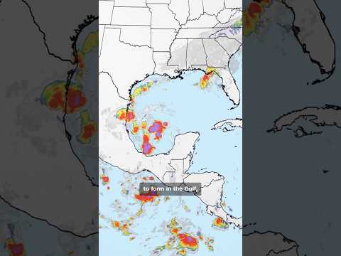 Tropical Storm Isaias expected in the Gulf as confidence grows in landfall