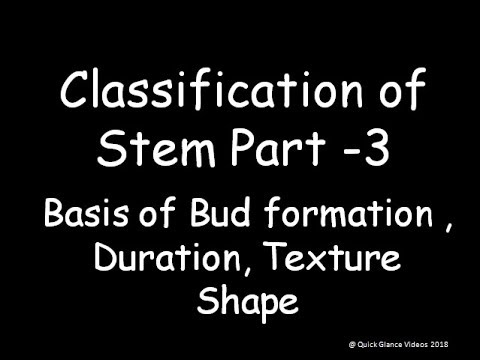 Classification of Stem Part 3 ( Bud formation,Duration , texture, Shape and Surface) - YouTube