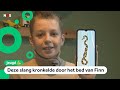 Giftige slang is nog steeds kwijt en dat is niet de enige
