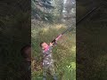 Squirrel ️ Hunter Alaska Hunting Squirrel Indigenous