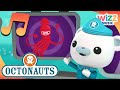 Awesome Giant Squid Creature Report Songs For Kids Octonauts Wizz Music