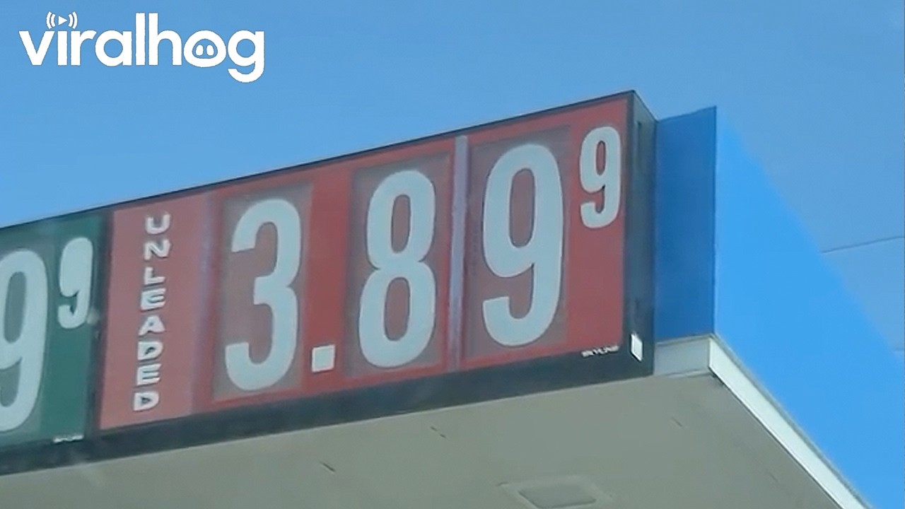 Watching Gas Prices Rise In Real Time || ViralHog