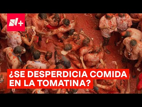 La tomatina 2024 en España - N+