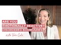 Are You Emotionally Reactive? | Signs of Disordered Emotional Boundaries - Terri Cole