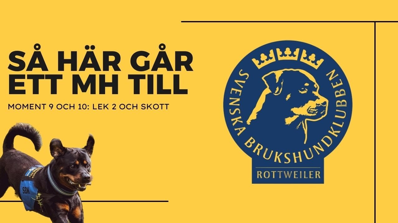 Moment 9 och 10: Lek 2 och skott