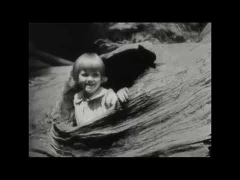 California State Parks Documentary (1935)  Land of Giants
