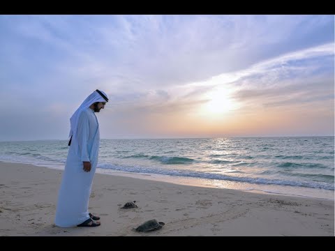 His Highness Sheikh Mohammed bin Rashid Al Maktoum-News-Mohammed bin Rashid approves ‘Dubai Master Plan for Public Beaches’