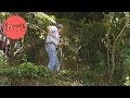 Burke S Backyard War On Weeds