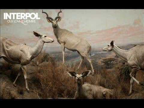 interpol - all fired up