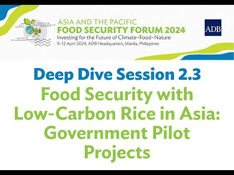 Low Carbon Rice Forum Video
