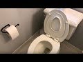 How to install a Child/toddler Potty Seat for potty training - FAST & EASY!