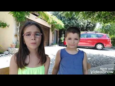 Isprobavanje naših sladoleda