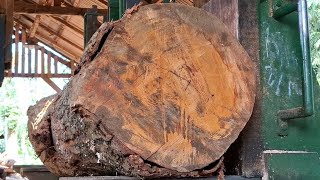 The process of chopping mahogany logs to make wide, solid-grain boards at the sawmill