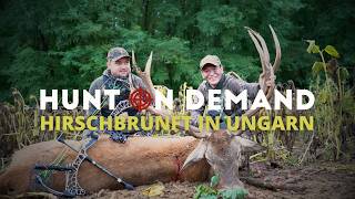 Gigantische Hirschbrunft in Ungarn 🇭🇺 Teil 3 von @schwarzwaldhunters