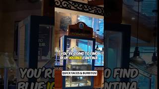 BlueIguana Cantina on Carnival Glory | Popular Cruise Food Spot