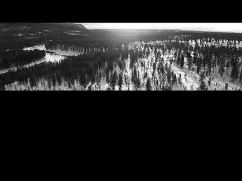 Pure Progressive Vol 1 trailer