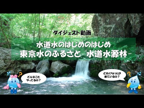 東京水のふるさと―水道水源林― （30秒編） ｜東京動画