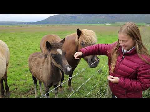 Norway & Iceland trip