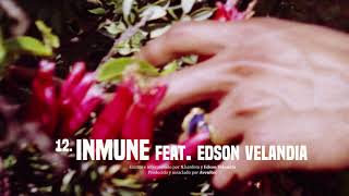 Inmune Music Video