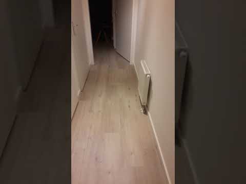 Toilet Paper Hopty Popty Flopty Part 1