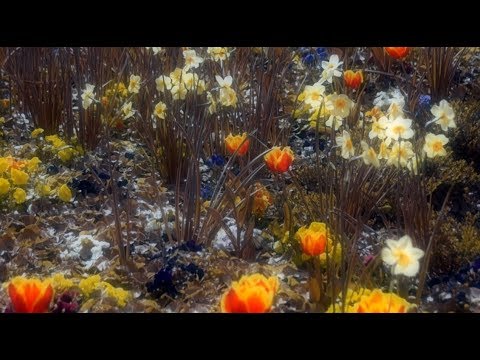 Flagalova - Video for solitary spots