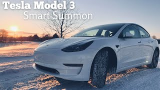 Tesla Model 3 Smart Summon