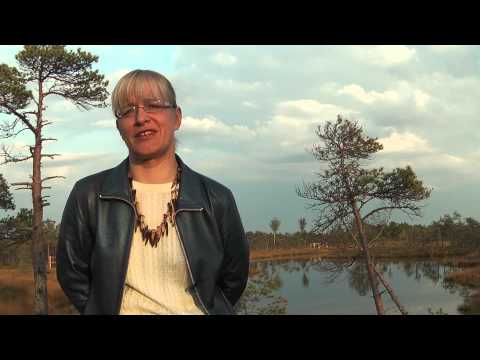 Piecas versijas par Rūdolfa Blaumaņa noveli "Purva bridējs"