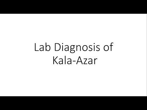 Laboratory Diagnosis of Kala Azar - Parasitology Video