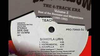 Poor Righteous Teachers - Shakiyla (DJ Shadow Remix)
