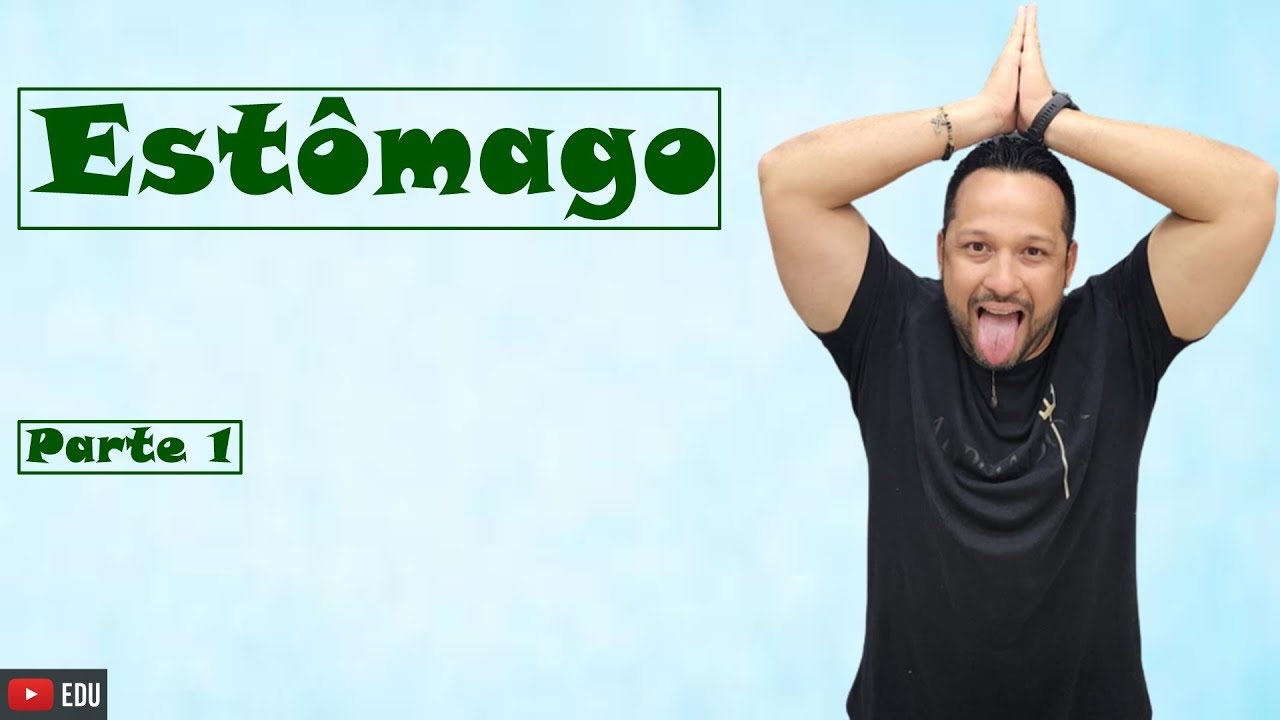 Estômago - Conceito / Funções / Anatomia - Sistema Digestório - Fisiologia Humana