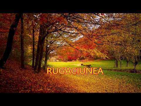 DANIEL HIRTIE - RUGACIUNEA