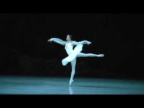 La Bayadere (Mariinsky Ballet): 3 Shades (Batoeva, Ivannikova, Stepanova) Act 3, Scene 2