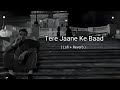 Tere Jaane Ke Baad Khamoshi Mein Chhupi Teri Yaadein Sad Lofi Vibes