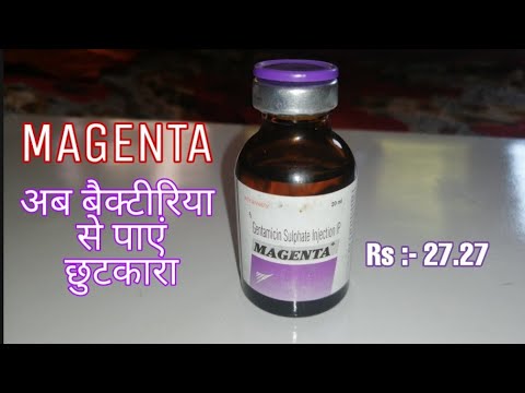 Gentamicin sulphate injection ip in hindi