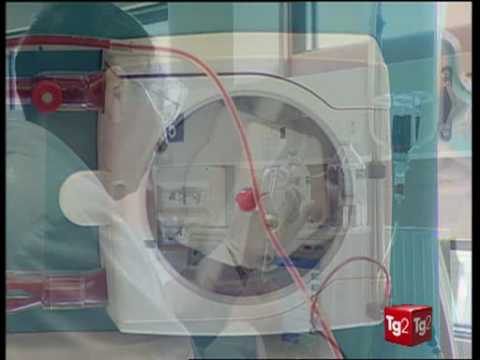 Se arresto rapido è limpotenza Ha presentato Man mano